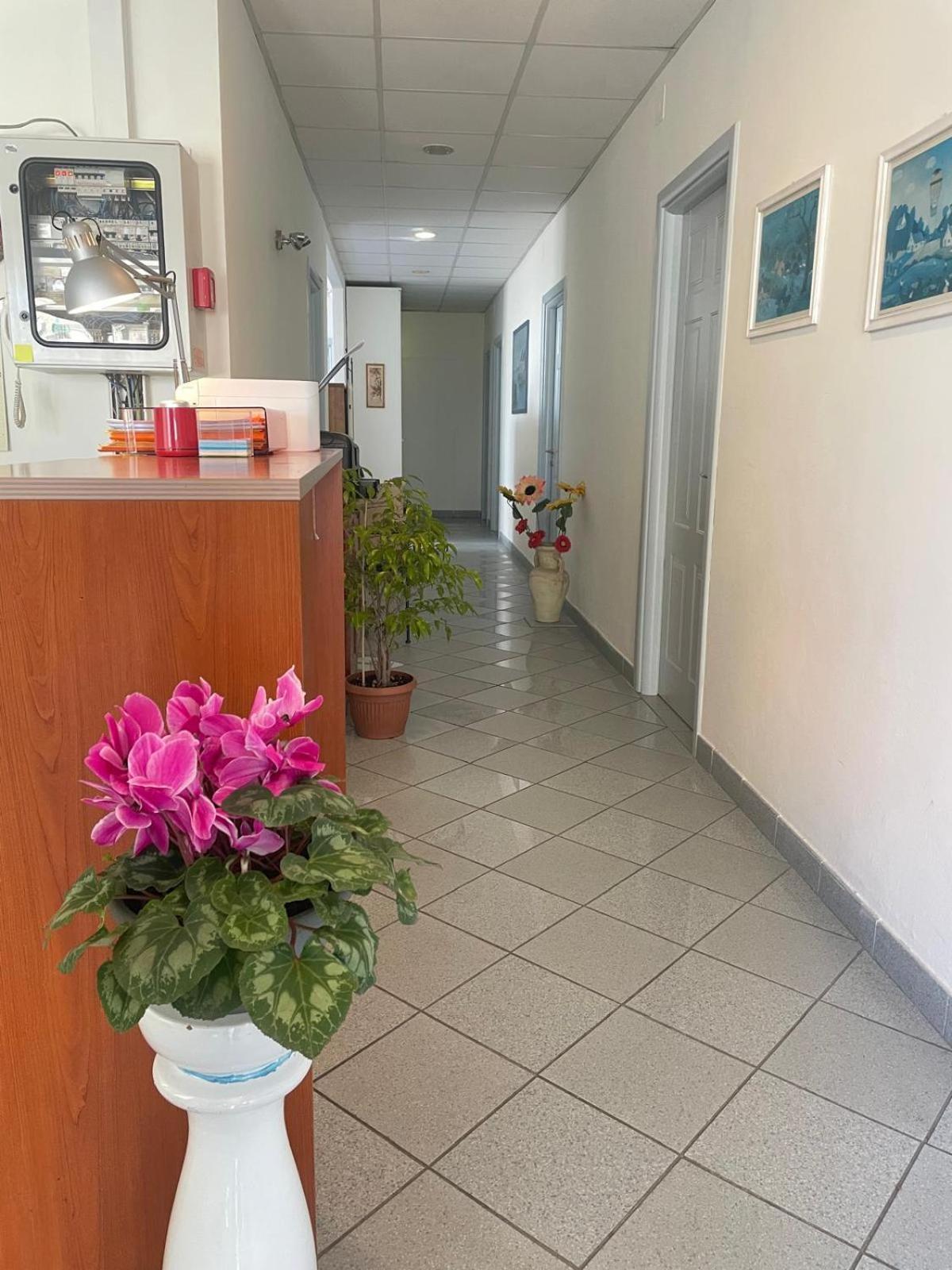 向日葵之家酒店 佛罗伦萨 外观 照片
